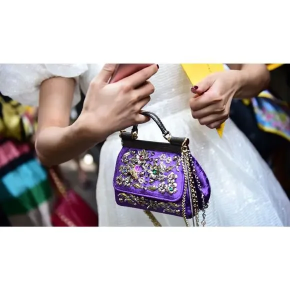 Dolce & Gabanna Velvet Bag Miss Sicily Runway purse Rare 2016 Lizard Metal D&G - Picture 2 of 16